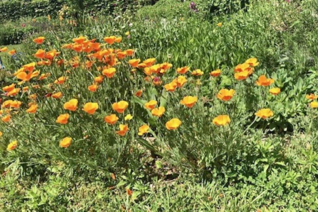 Appartamento Belle Maison Familiale A La Campagne Saint-Girod Esterno foto