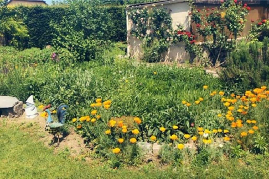 Appartamento Belle Maison Familiale A La Campagne Saint-Girod Esterno foto