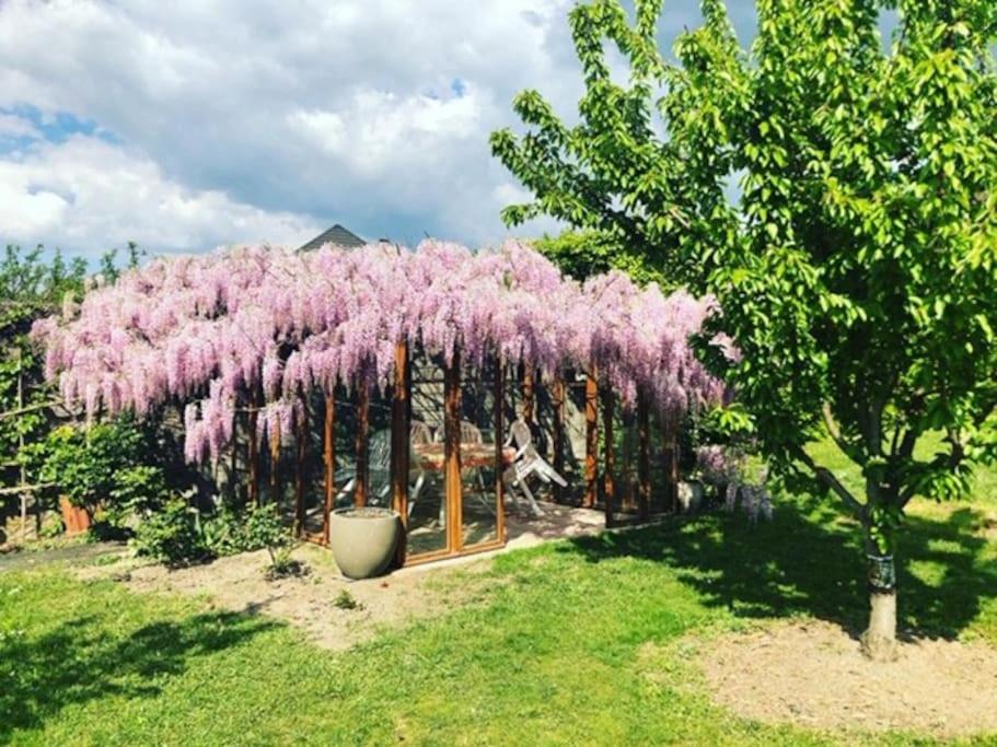 Appartamento Belle Maison Familiale A La Campagne Saint-Girod Esterno foto